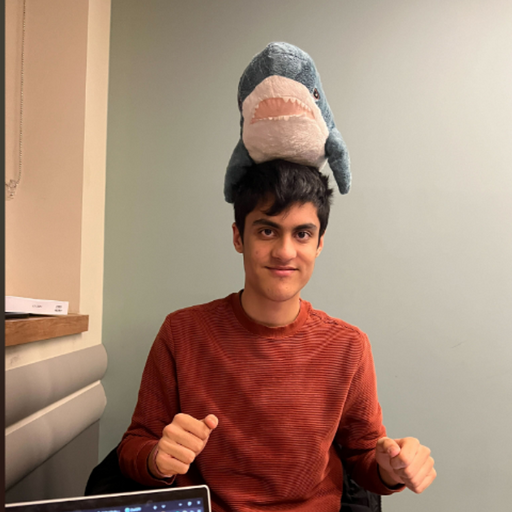 Arav Narula